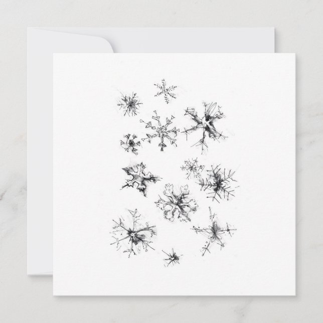 Delicate Falling Snowflakes (Front)
