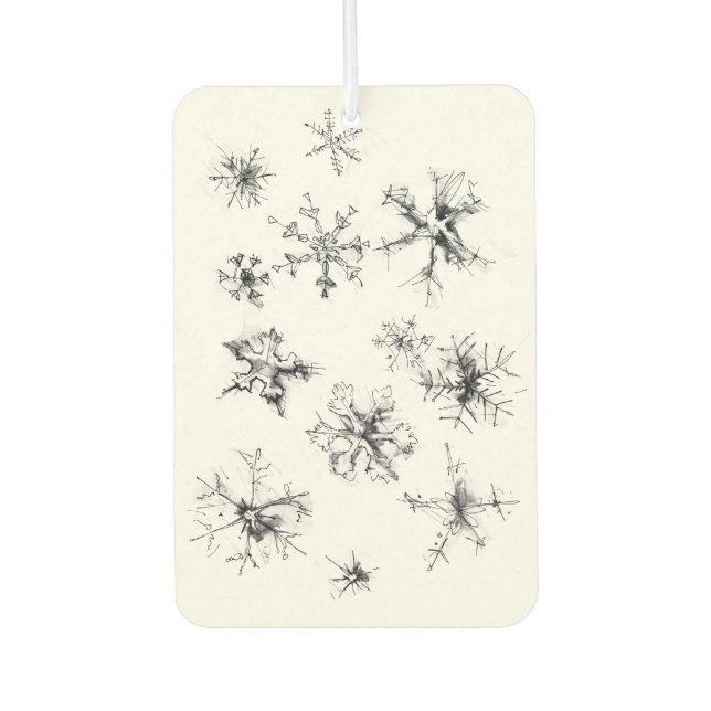 Delicate Falling Snowflakes Car Air Freshener (Front)