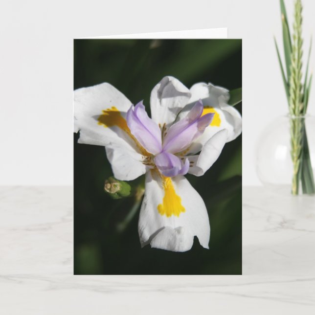 delicate flower petals thank you card (Front)