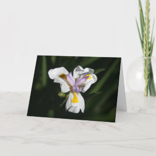 delicate flower thank you card