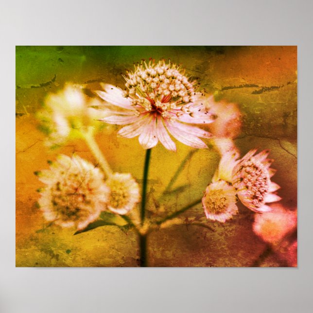 Delicate Flowers Abstract Poster (Front)