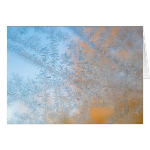 Delicate frost pattern, Wisconsin