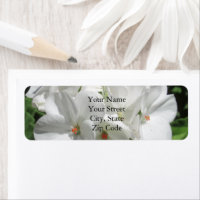Delicate Girly White Geranium Flower Photo