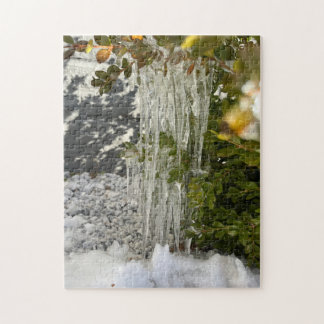 Delicate icicles hanging from a bush jigsaw puzzle