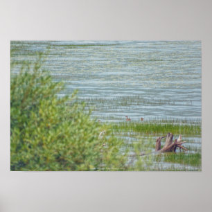 Delicate Movement Poster