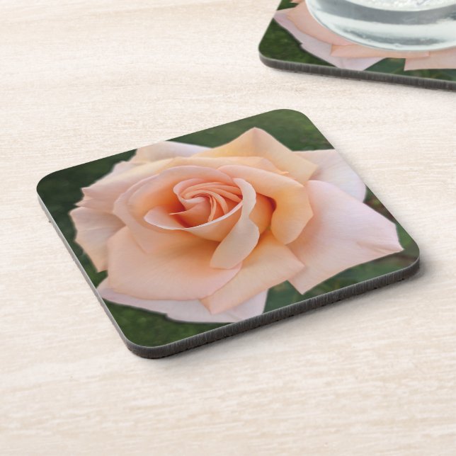 Delicate Orange Rose Bloom Floral Coaster (Left Side)