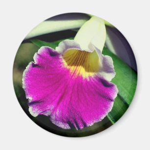 Delicate Orchid Flower Photography Magnet