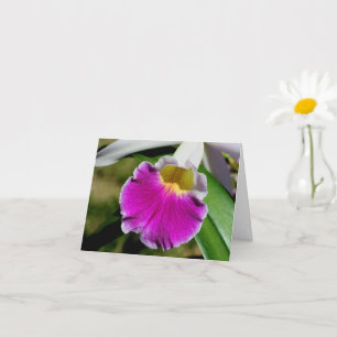 Delicate Orchid Flower Photography Note Card