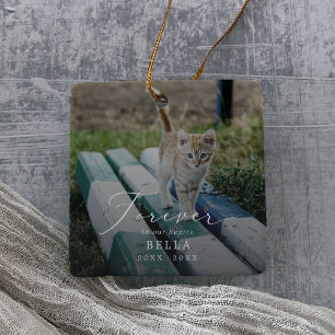 Delicate Overlay Photo Pet Cat Memorial Holiday Ceramic Ornament