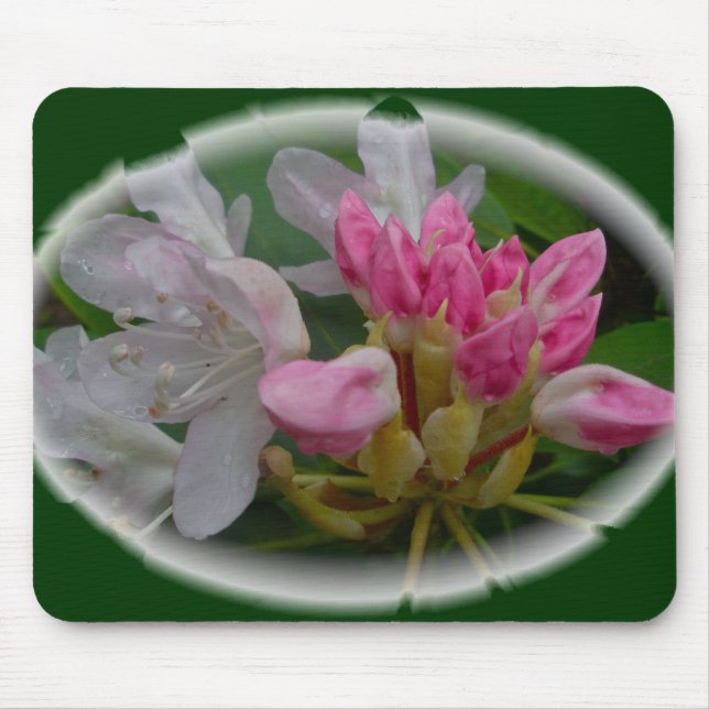 Delicate Pink Azaleas Mouse Pad (Front)