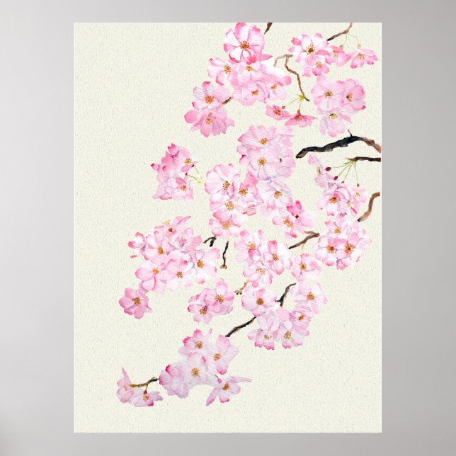 Delicate Pink cherry blossom watercolor 2024 Poster (Front)