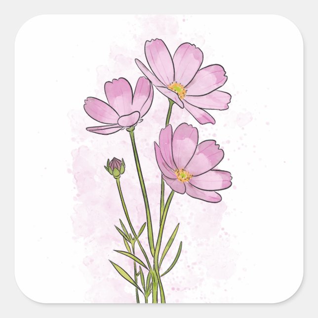 Delicate Pink Cosmos Flower Watercolor Square Sticker (Front)