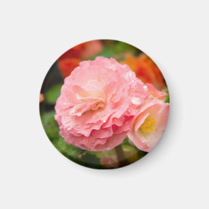 Delicate pink flower after the rain throw magnet