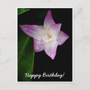 Delicate Pink Flower Happy Birthday Postcard