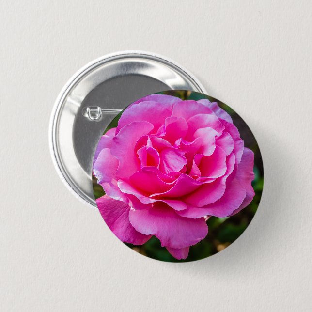 Delicate pink rose. 6 cm round badge (Front & Back)