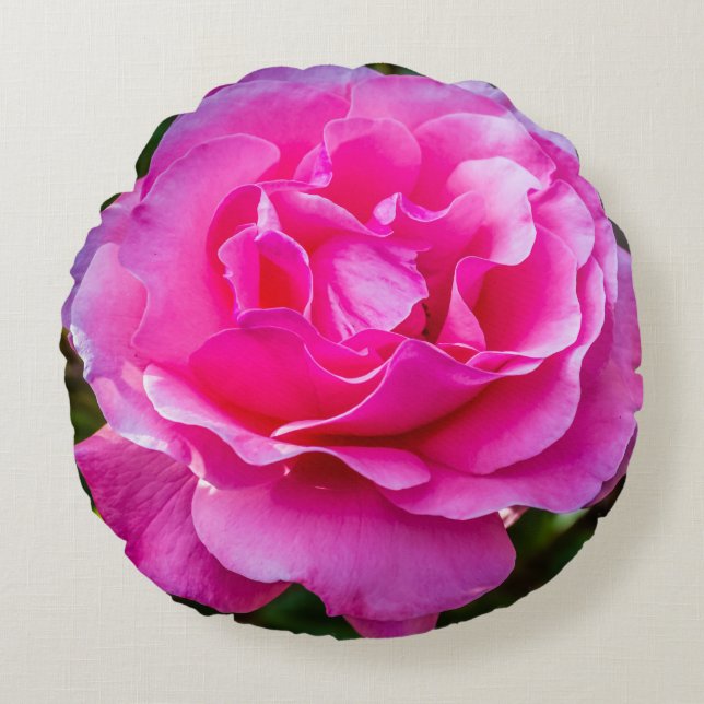 Delicate pink rose. round cushion (Front)