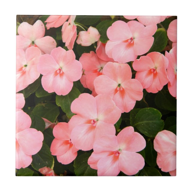 Delicate pink spring flowers tile (Front)