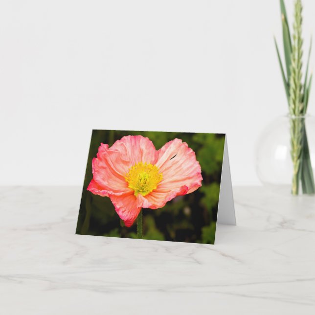 Delicate Poppy -Blank Note Cards (Front)