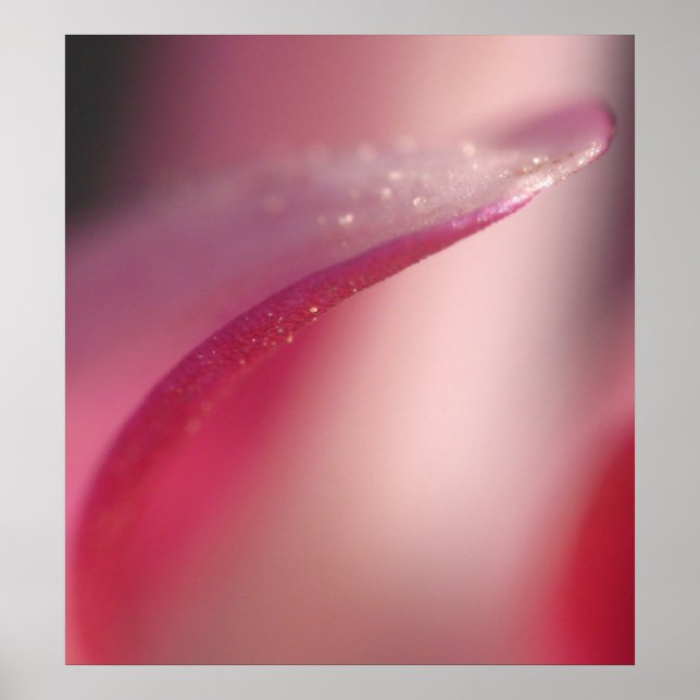 Delicate Poster (Front)