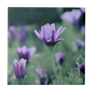 Delicate Purple Lavender Flowers Ceramic Tile