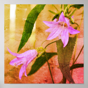 Delicate Purple Lily Flowers Distressed Art Poster