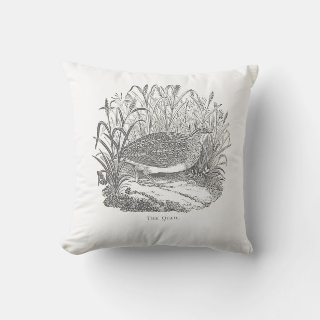 Delicate Quail Vintage-print Outdoor Pillow (Front)