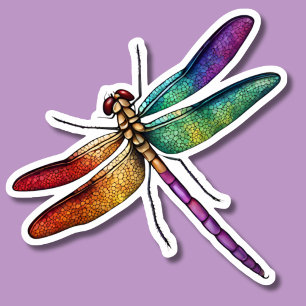 Delicate Rainbow Dragonfly