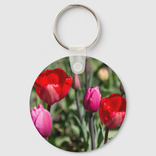 Delicate red and purple tulips square key ring