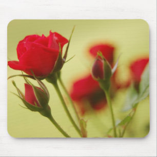 Delicate Red Rose Mouse Pad