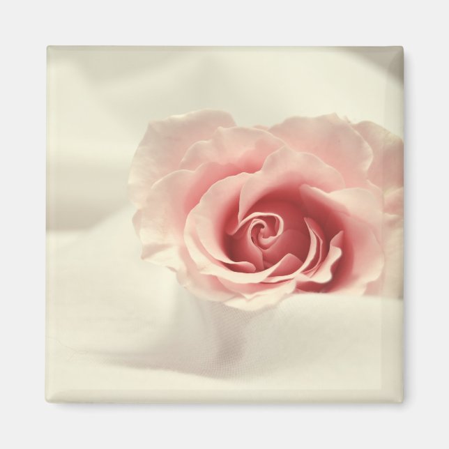 Delicate Rose Magnet (Front)