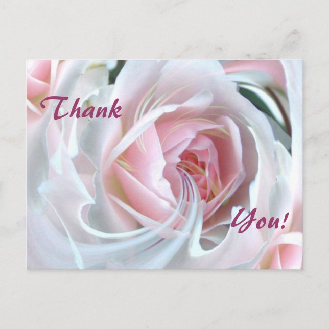 Delicate rose with marble effects postcard (Front)