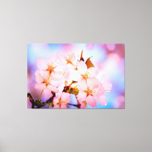 Delicate Sakura Flowers Canvas Print