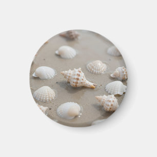 Delicate Seashells Beach Serenity Magnet