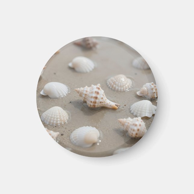 Delicate Seashells Beach Serenity Magnet (Front)