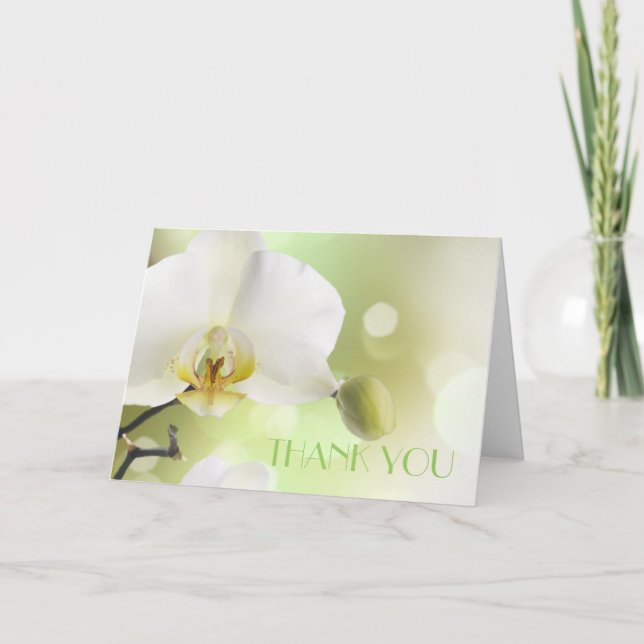Delicate Spring White Orchids Thank You Card (Front)