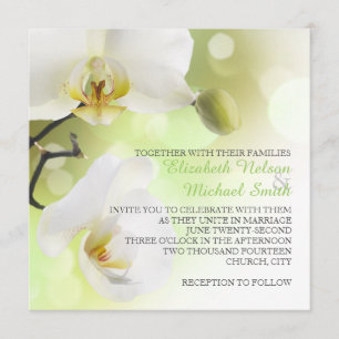 Delicate Spring White Orchids Wedding Invitation