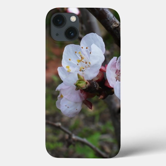 Delicate Trio: Three Dainty Blossom Blooms on Tree Case-Mate iPhone Case (Back)