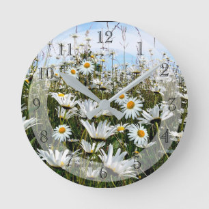 Delicate White Daisies Round Clock