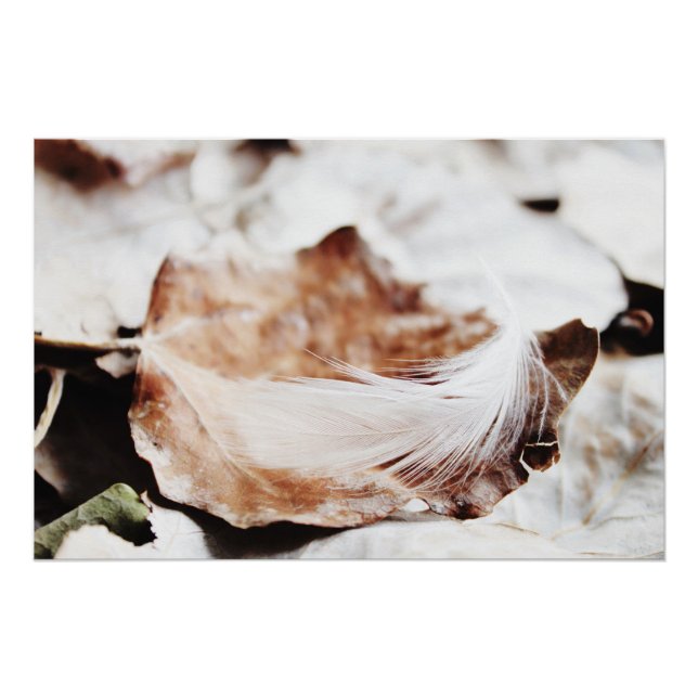 Delicate White Feather In Autumn Gold Leaf Poster (Front)