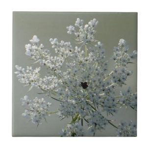 Delicate white flowers ceramic tile