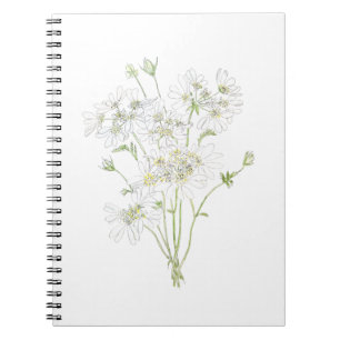 delicate white flowers ink and watercolour notebook