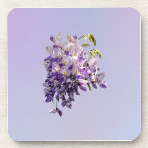 Delicate Wisteria Coaster