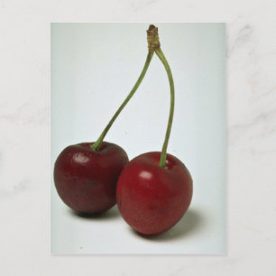 Delicious Cherries Postcard