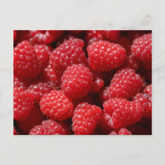 Delicious fresh and sweet red raspberries postcard