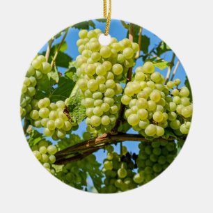 Delicious growing green grapes bunch & blue sky ceramic ornament