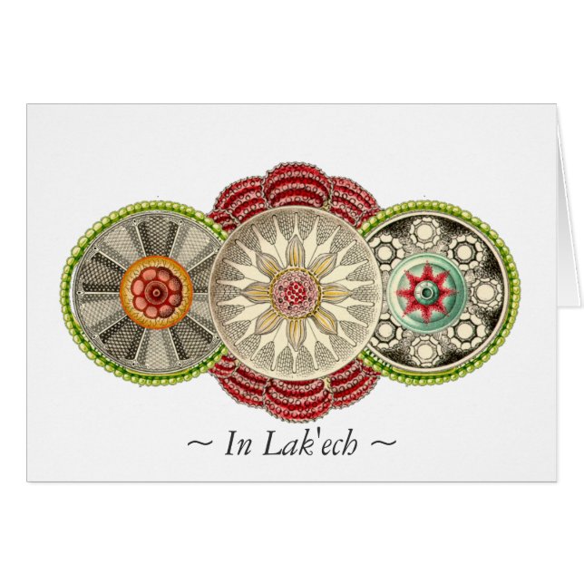 Delicious In Lak'ech Mandala Postcard (Front Horizontal)