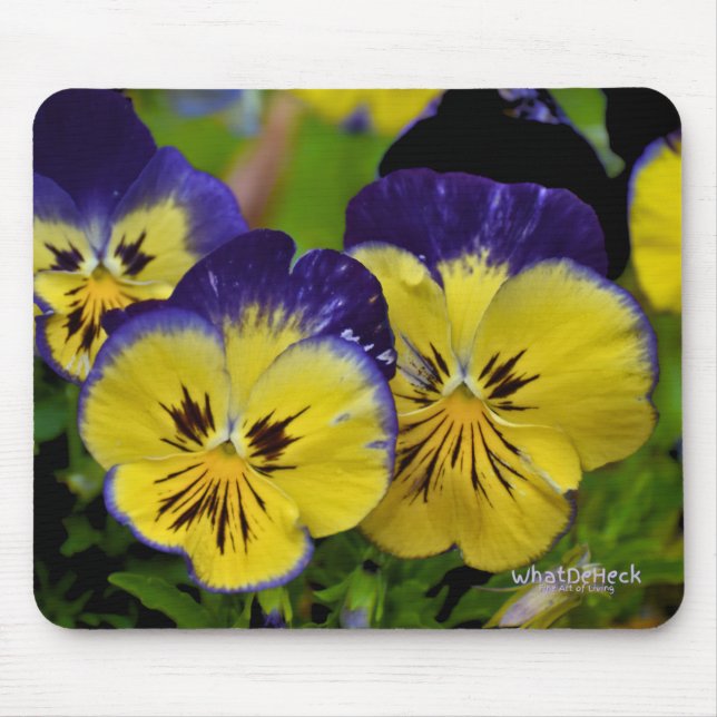 Delicious Mouse Pad (Front)