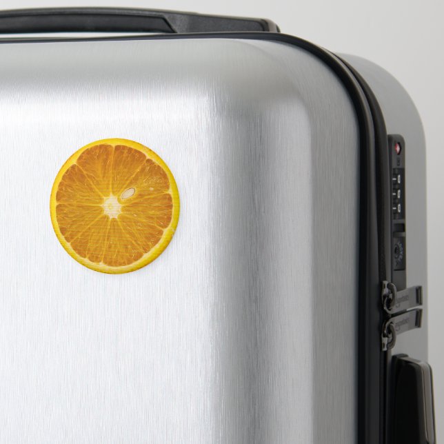DELICIOUS ORANGE SLICE MAGNET (In Situ (Luggage))