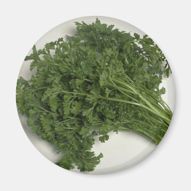 Delicious Parsley Magnet (Front)