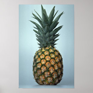 Delicious Pineapple Poster